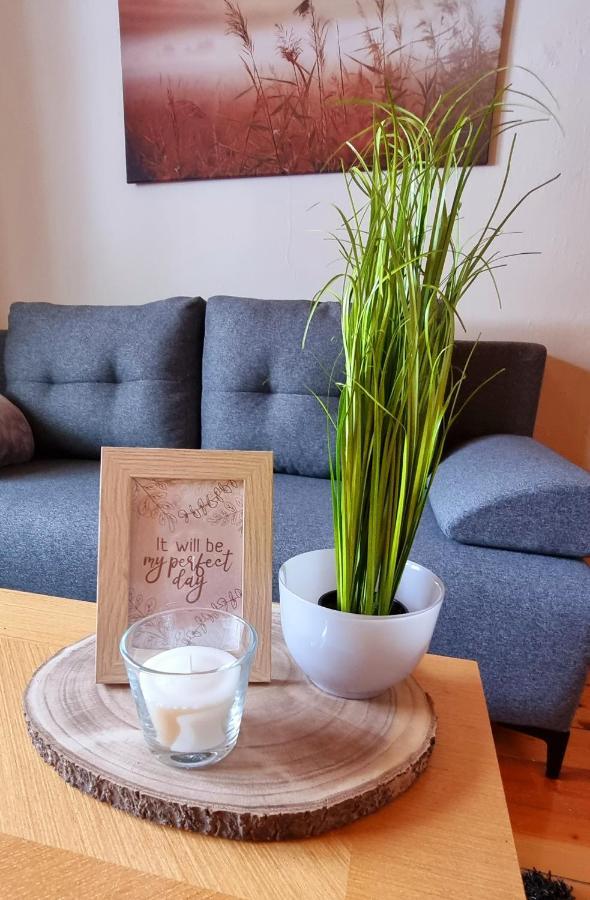Apartma Metka Бовец Экстерьер фото